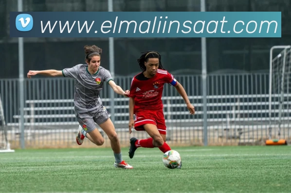 平台使命图